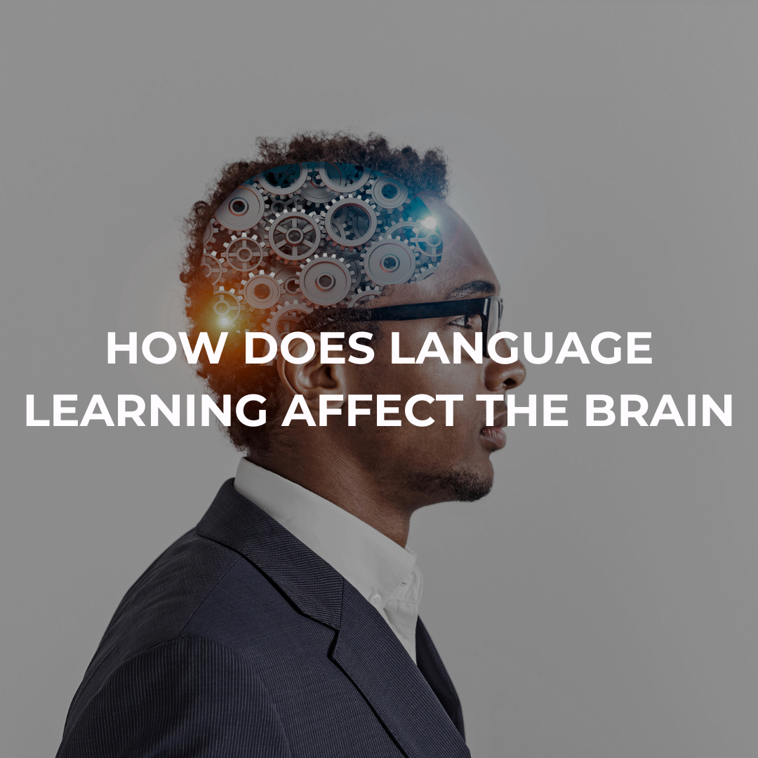 How Does Language Learning Affect the Brain