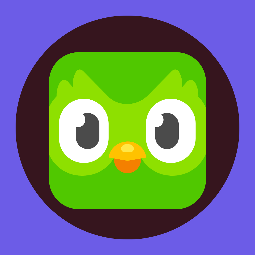 Yet Another Duolingo Review Video….